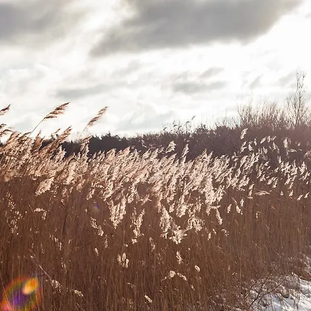 Ferienpark Markgrafenheide 3*