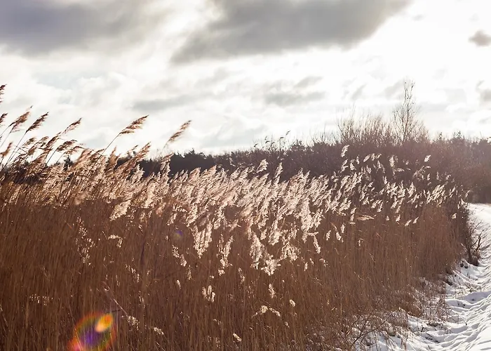 Ferienpark Markgrafenheide 3*